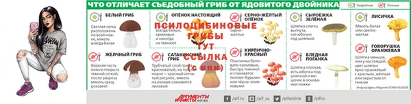 гидропоника Аша