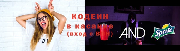 дмт Майский