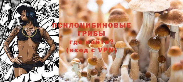 прущий лед Медногорск