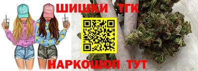 стаф Дубна