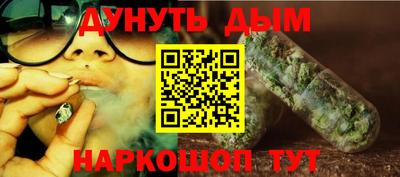 стаф Дубна