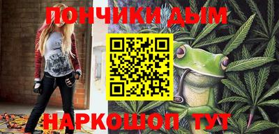 стаф Дубна
