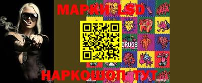 гидропоника Будённовск