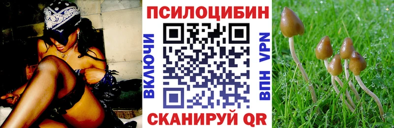 Псилоцибиновые грибы ЛСД  кракен ТОР  Благовещенск 