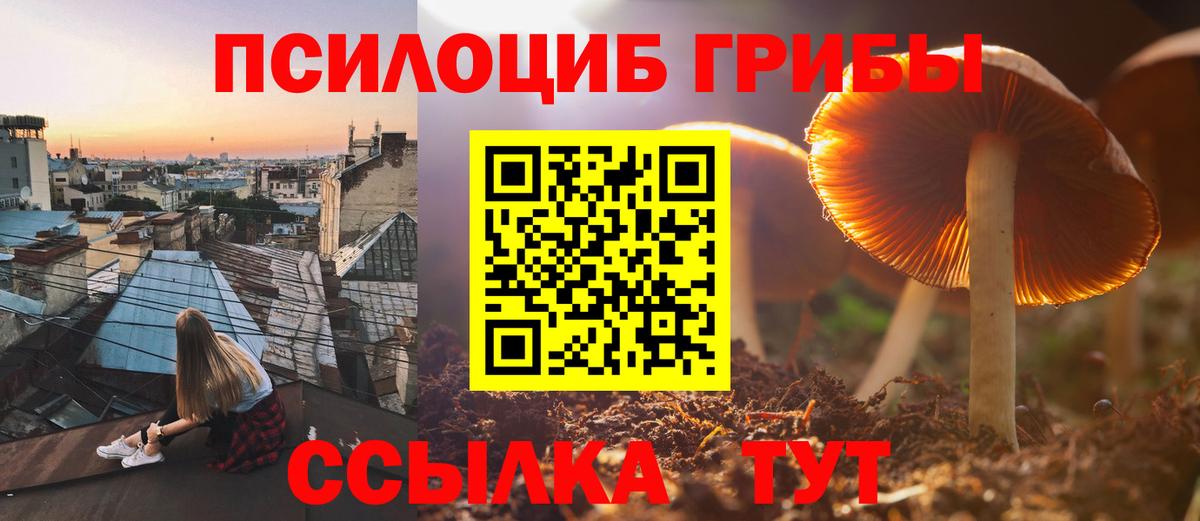Псилоцибиновые грибы MAGIC MUSHROOMS Благовещенск